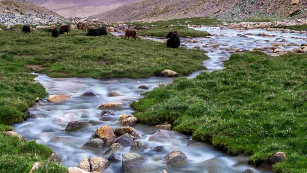 Kashmir luxurious houseboat stay