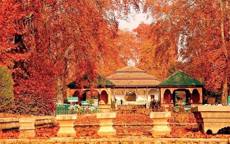 Visiting Kashmir in Autumn