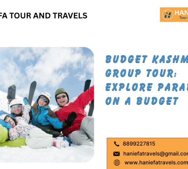 Budget Kashmir group tour