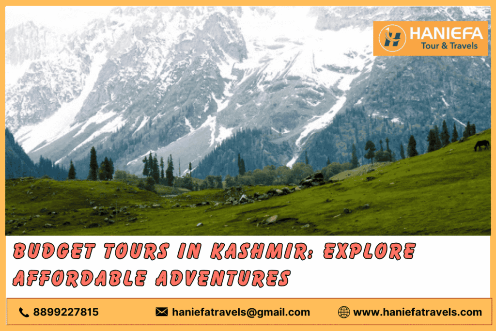 Srinagar Tulip Garden Kashmir Tulip Garden Visit Tulip Garden Srinagar Srinagar flower tour Tulip Garden Srinagar season Best time to visit Tulip Garden Srinagar Tulips in Srinagar Kashmir Tulip Garden tour Tulip Festival Srinagar Things to do in Srinagar