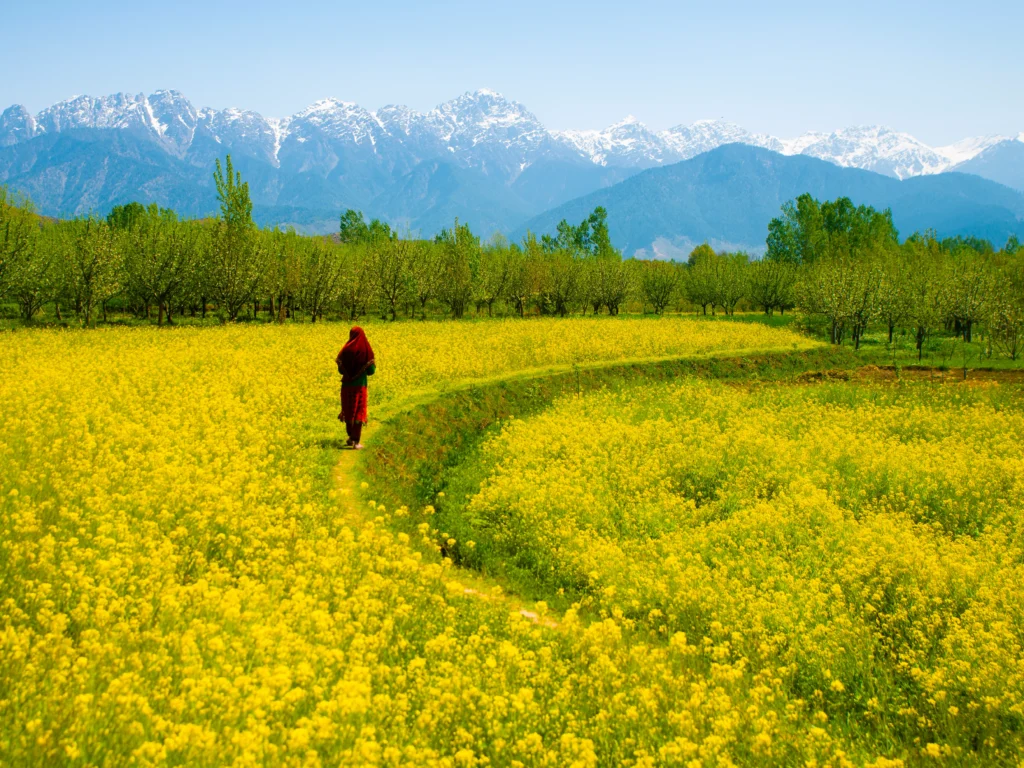 Kashmir weather updates