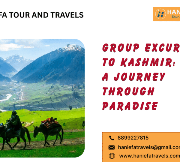 Group excursion to Kashmir