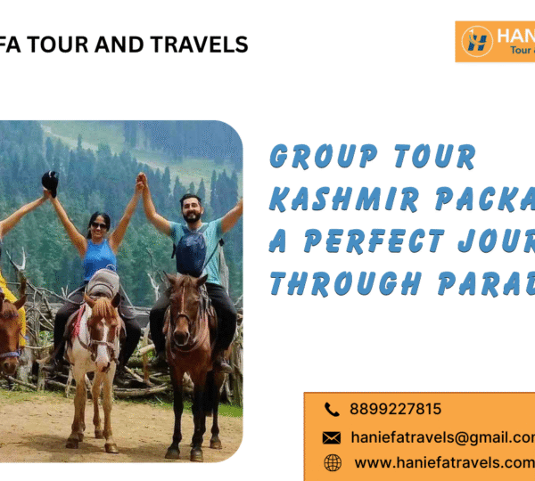 Group tour Kashmir package