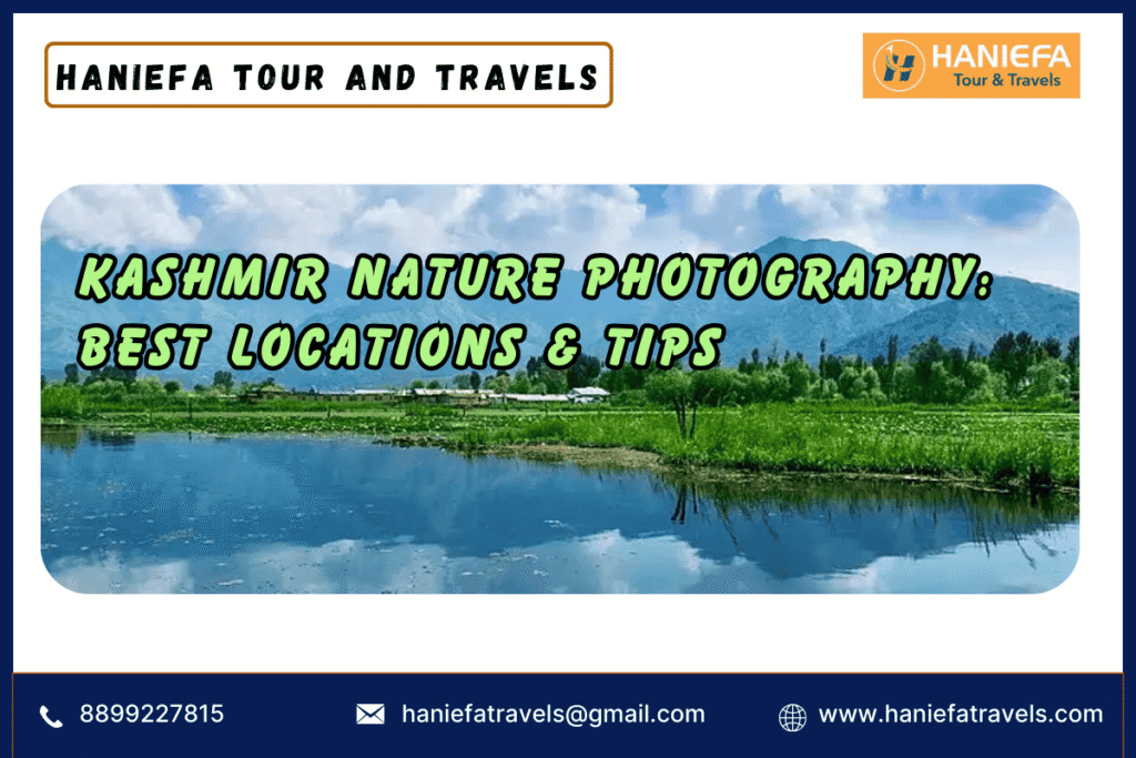 Kashmir nature photography