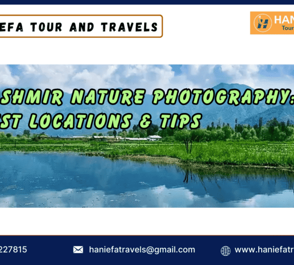 Kashmir nature photography