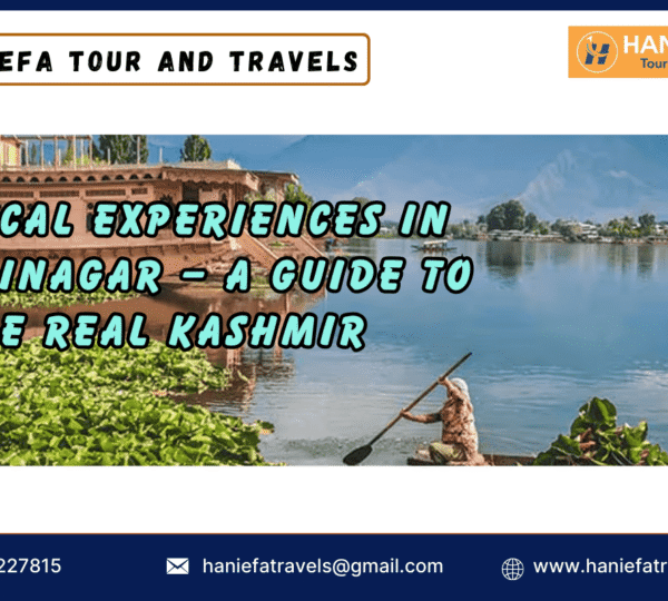 Local experiences in Srinagar