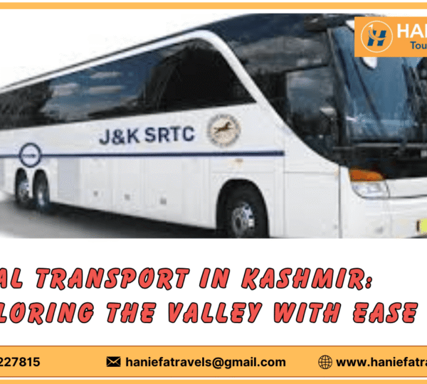 Local transport in Kashmir