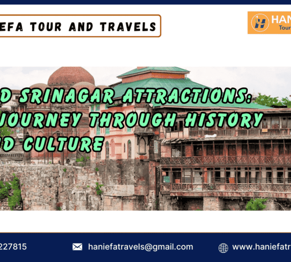 "Old Srinagar attractions"