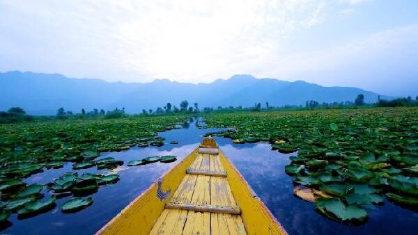 Kashmir local experiences