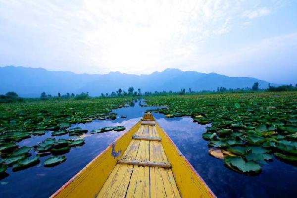 Kashmir river excursions