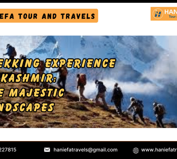 Trekking Experience in Kashmir