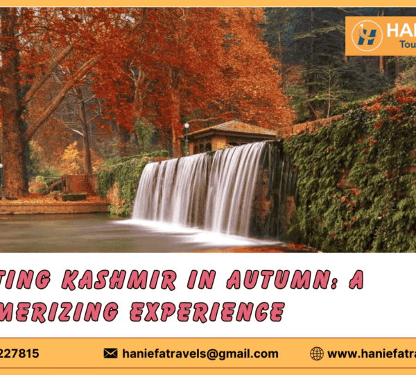 Visiting Kashmir in Autumn
