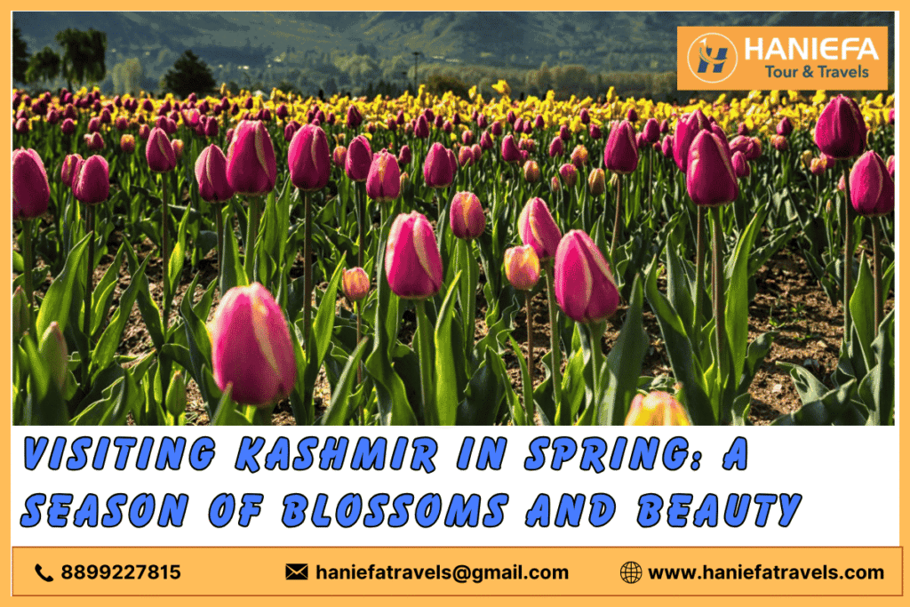 Visiting Kashmir in spring