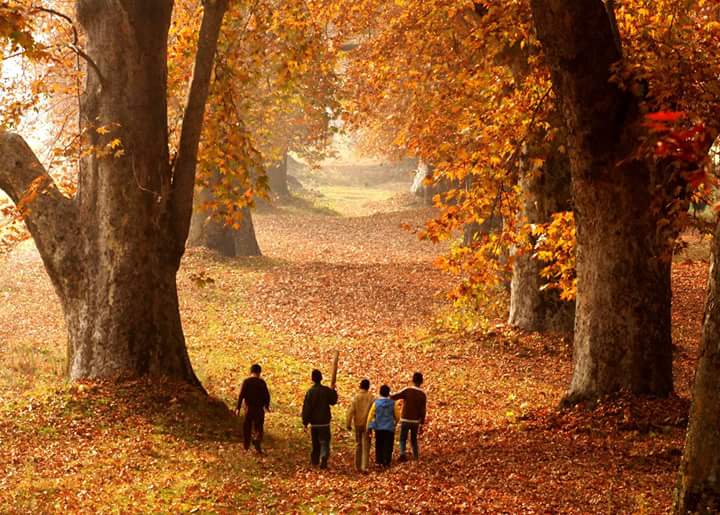 Visiting Kashmir in Autumn