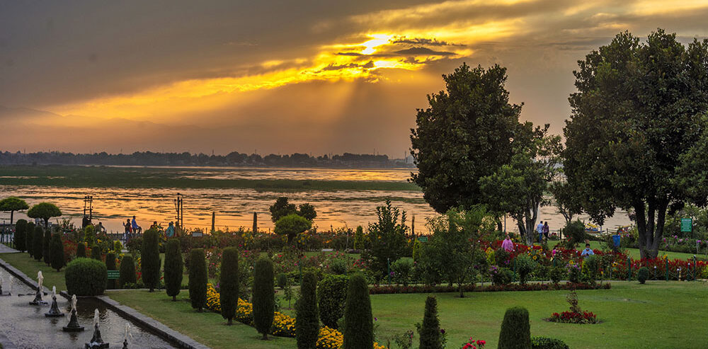 Local experiences in Srinagar