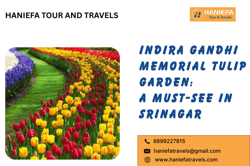 Indira Gandhi Memorial Tulip Garden Tulip Garden in Srinagar Indira Gandhi Tulip Garden Largest tulip garden in Asia Srinagar tulip garden Tulip blooms in Kashmir Kashmir tulip garden Srinagar spring garden Must-see garden in Srinagar Top attractions in Srinagar