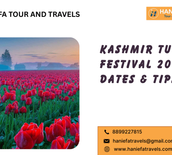 Kashmir Tulip Garden Tulip Festival in Kashmir Srinagar Tulip Garden Kashmir Spring Festival Kashmir Flower Festival Kashmir Blooms Tulip Fields in Kashmir Kashmir Floral Celebration Spring Blooms in Kashmir Kashmir Garden Festival