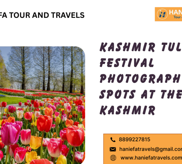 Kashmir Tulip Festival Photography Spots