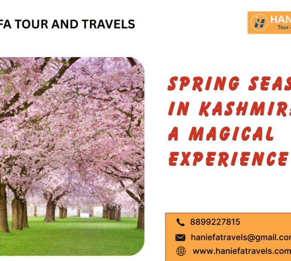 Spring Season in Kashmir