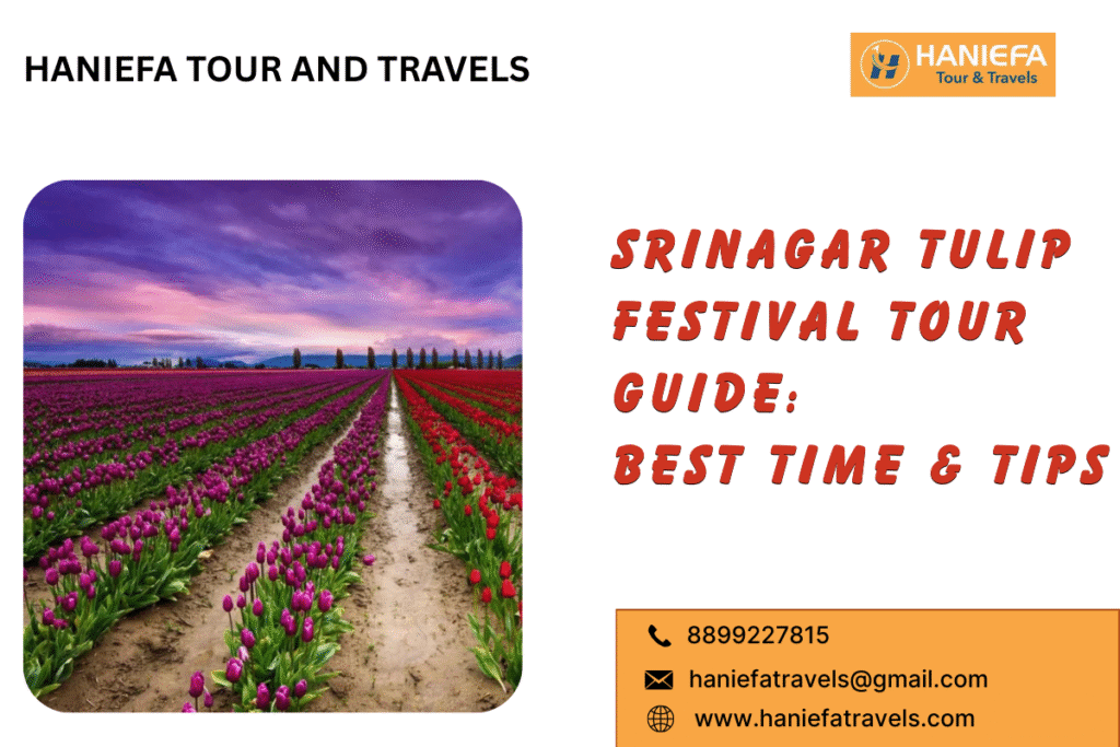 Srinagar Tulip Festival Tour Guide