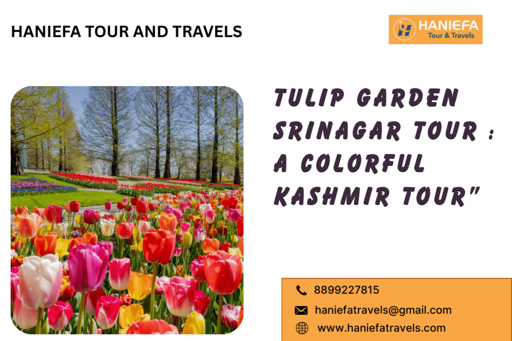 Tulip Garden Srinagar 2026 Kashmir Tulip Festival 2026 Indira Gandhi Memorial Tulip Garden Best time to visit Tulip Garden Srinagar Tulip Garden in Srinagar Tulip festival Srinagar 2026 dates Tulips in Srinagar 2026 Srinagar spring festivals 2026 Visit Tulip Garden Srinagar Tulip Garden Kashmir tourism