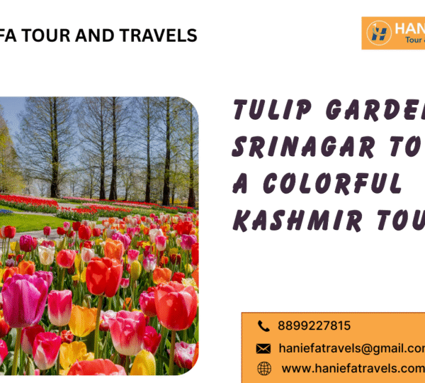 Tulip Garden Srinagar 2026 Kashmir Tulip Festival 2026 Indira Gandhi Memorial Tulip Garden Best time to visit Tulip Garden Srinagar Tulip Garden in Srinagar Tulip festival Srinagar 2026 dates Tulips in Srinagar 2026 Srinagar spring festivals 2026 Visit Tulip Garden Srinagar Tulip Garden Kashmir tourism