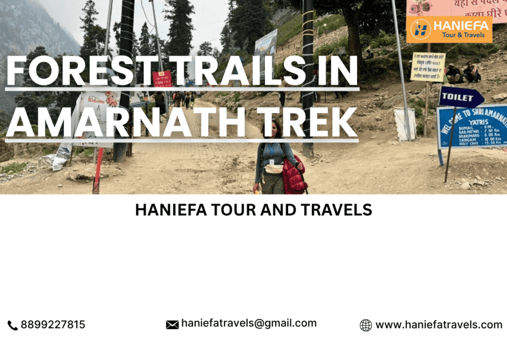 Amarnath trek forest trails Amarnath Yatra forest route trekking in Amarnath forest forest trails in Kashmir trek Kashmir tour package Amarnath best time for Amarnath trek Amarnath pilgrimage trekking forest camping Amarnath trek nature trails Amarnath Yatra guided Amarnath trek packages