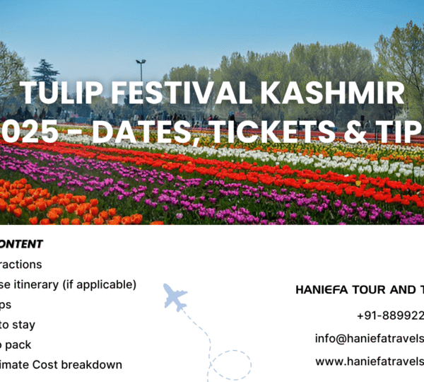 Tulip Festival Kashmir tickets Tulip Garden Srinagar 2025 Best time to visit Tulip Festival in Kashmir Kashmir tour package 2025 Things to do in Kashmir in April Srinagar Tulip Garden entry fee Kashmir tulip season dates Tulip Garden opening and closing dates How to reach Tulip Garden Srinagar Kashmir in Spring 2025