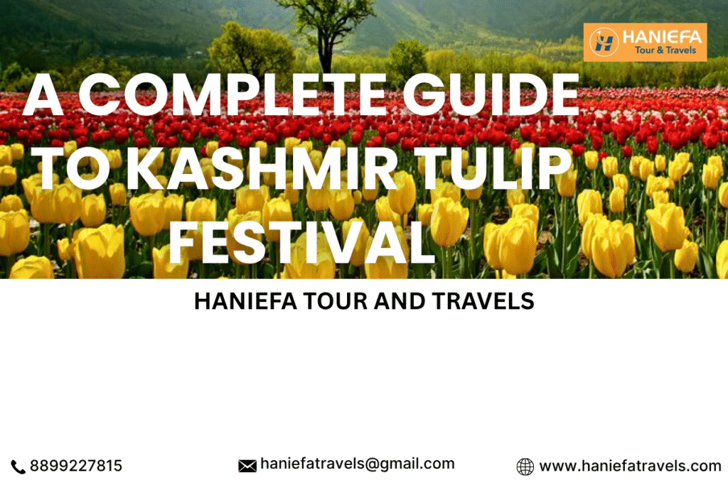 Tulip Festival in Kashmir Srinagar Tulip Garden Best time to visit Kashmir Tulip Festival Indira Gandhi Memorial Tulip Garden Tulip season in Kashmir Asia’s largest tulip garden Kashmir spring festival April in Kashmir Tulip garden Srinagar timings Kashmir tour in April Kashmir tulip festival itinerary Budget trip to Kashmir tulip festival