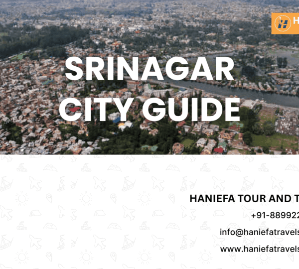 What to do in Srinagar in 2 days 2 day itinerary Srinagar Best places to visit in Srinagar Srinagar travel guide Things to do in Srinagar Srinagar tourist attractions Srinagar sightseeing tips Srinagar itinerary for 2 days Srinagar travel tips Houseboat stay in Srinagar Dal Lake Shikara ride Mughal gardens Srinagar Local food in Srinagar