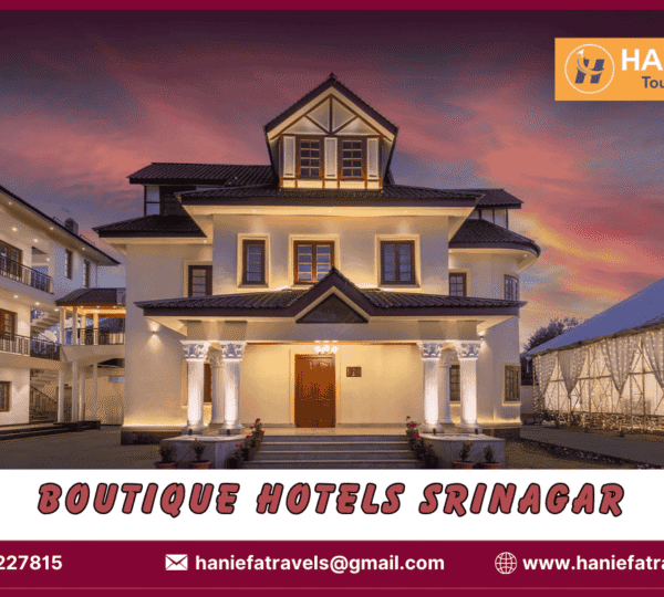 Boutique hotels Srinagar