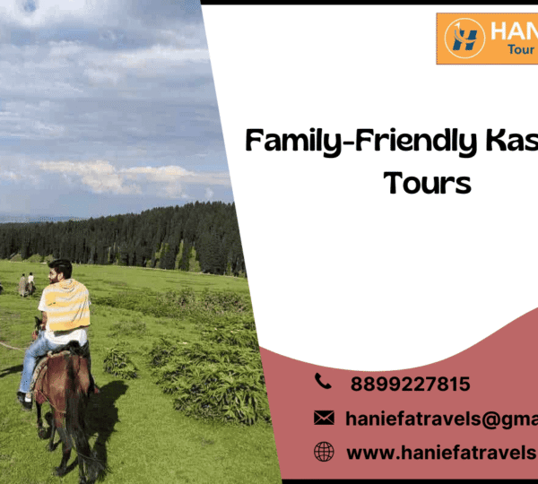 Family-friendly Kashmir tours