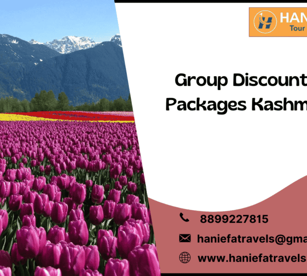 Group discount packages Kashmir