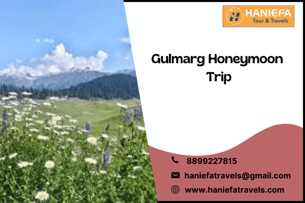Gulmarg honeymoon trip
