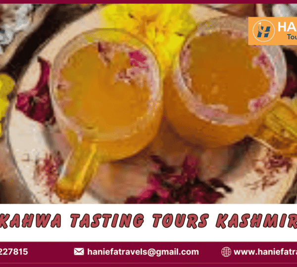Kahwa tasting tours in Kashmir