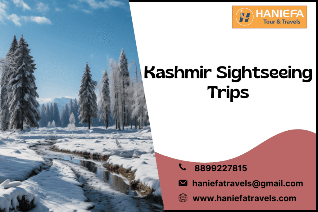 Kashmir sightseeing trips
