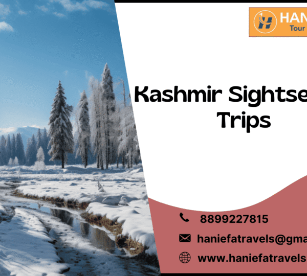 Kashmir sightseeing trips