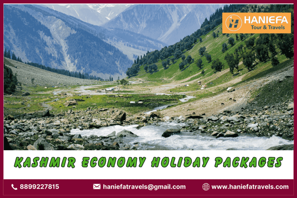 Kashmir economy holiday packages