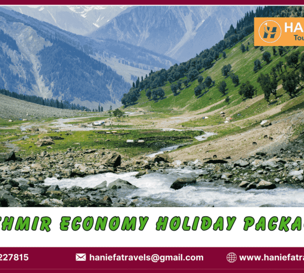 Kashmir economy holiday packages