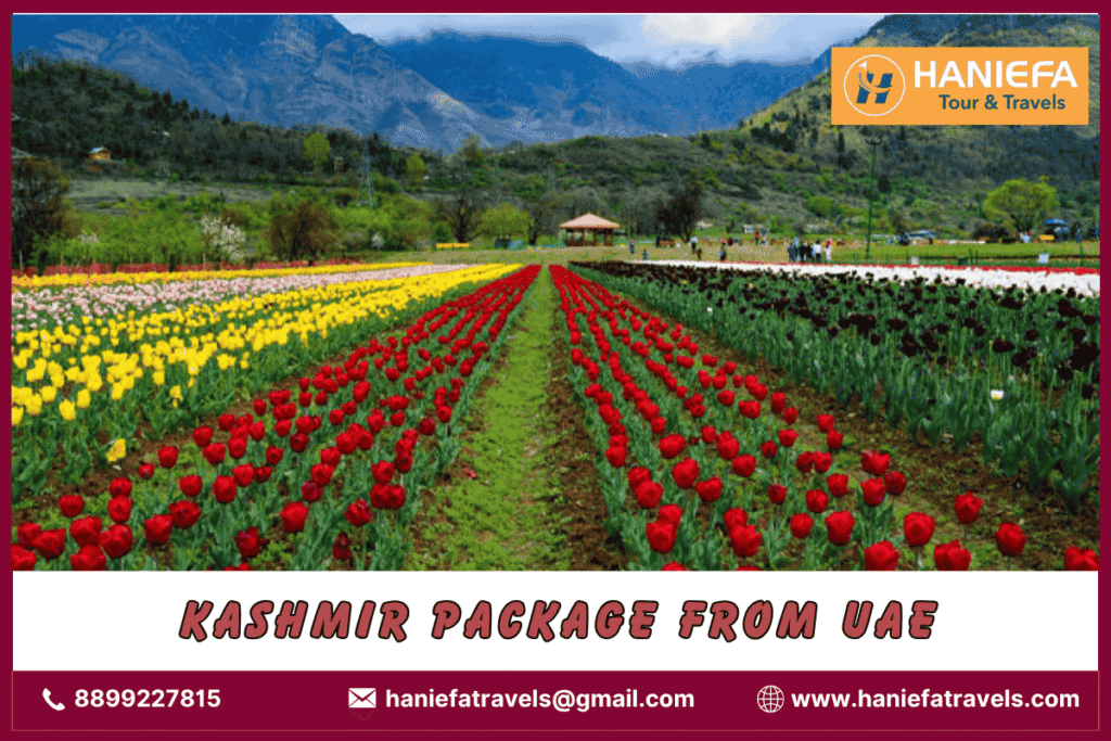 Kashmir package from UAE