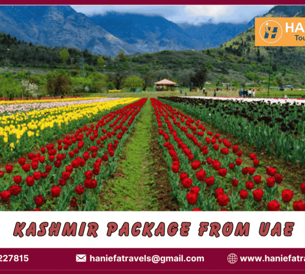 Kashmir package from UAE