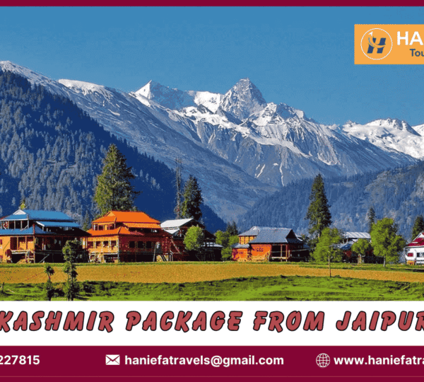Kashmir package from Jaipur