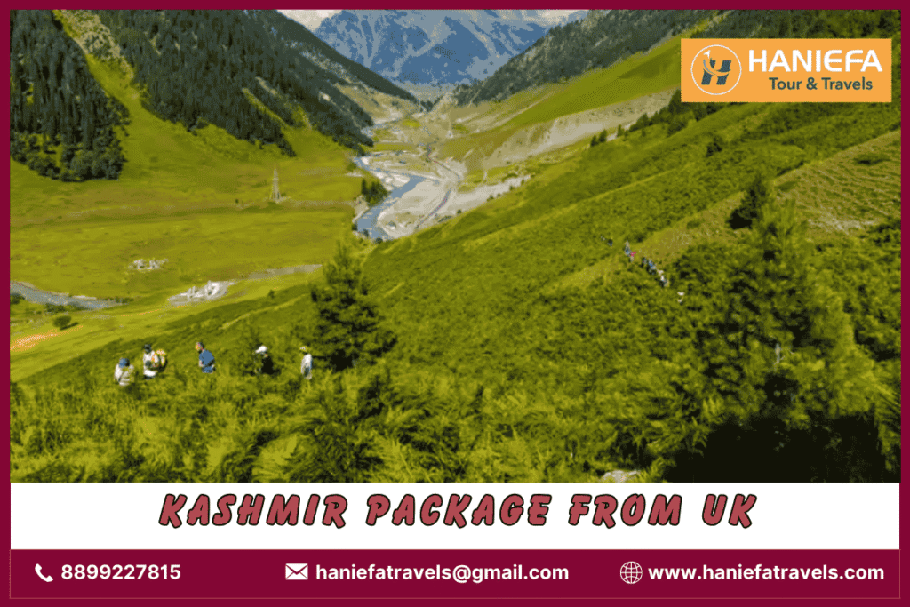 Kashmir package from UK