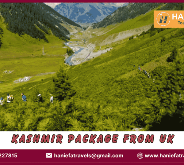 Kashmir package from UK