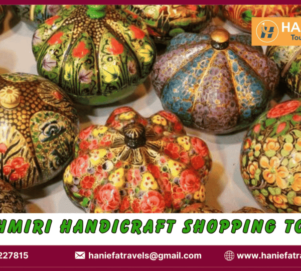 Kashmiri handicraft shopping tours