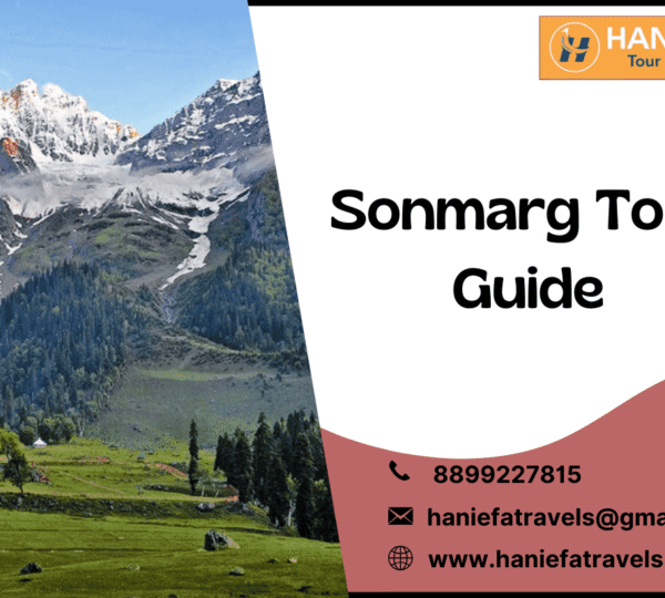 Sonmarg tour guide