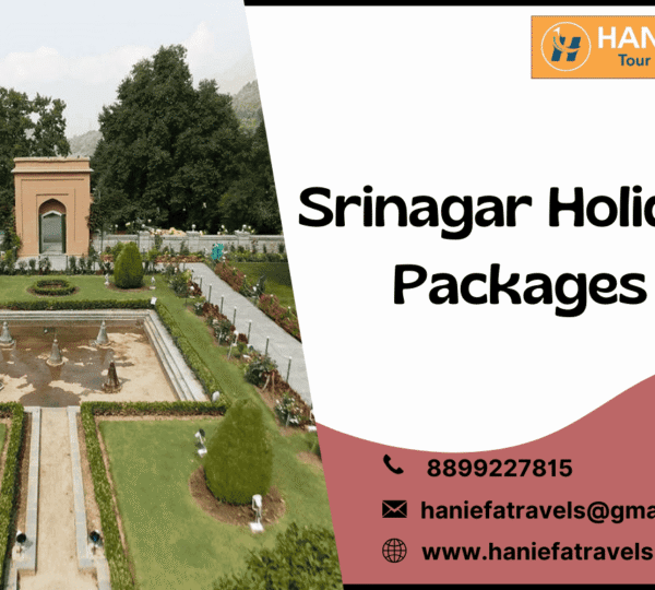 Srinagar holiday packages