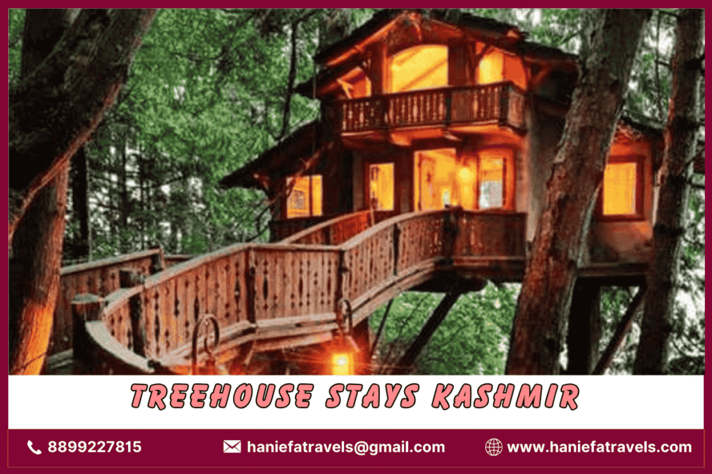 Treehouse Stays Kashmir