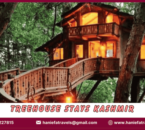 Treehouse Stays Kashmir