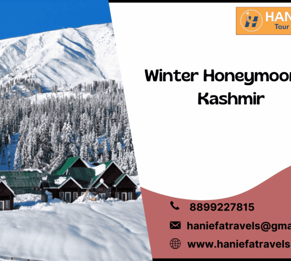Winter honeymoon in Kashmir